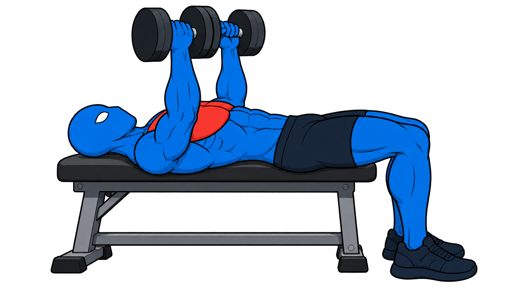 Dumbbell bench press: blue character on a bench with the chest highlighted red